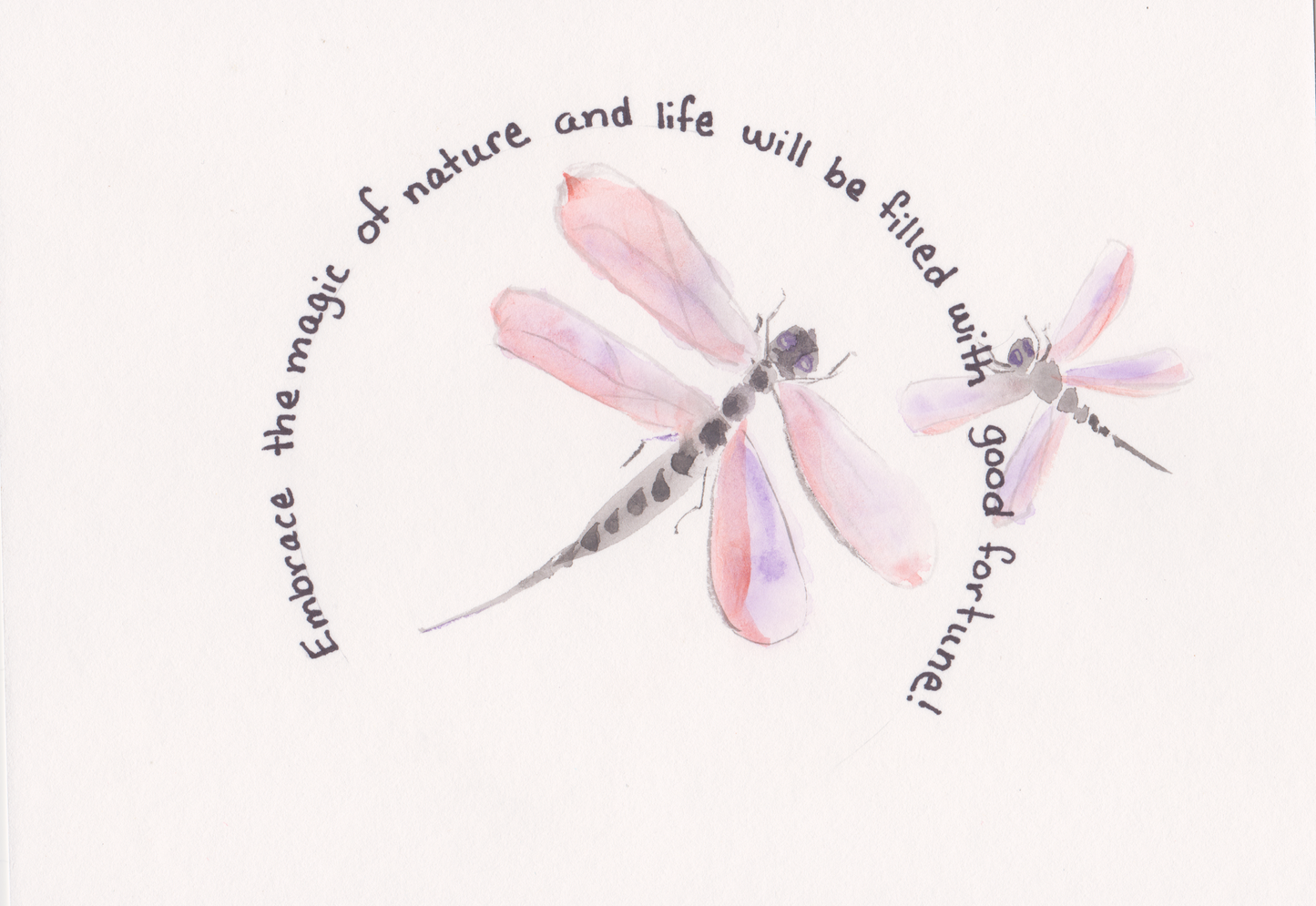 Dragonfly Greeting Card